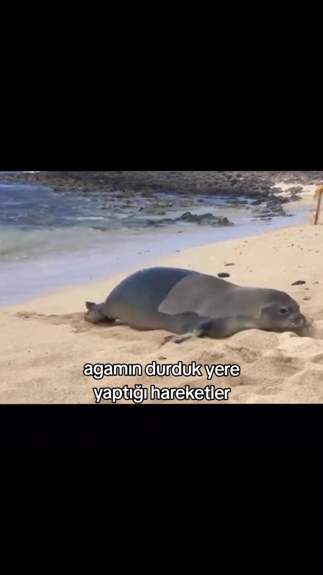 @SAMET