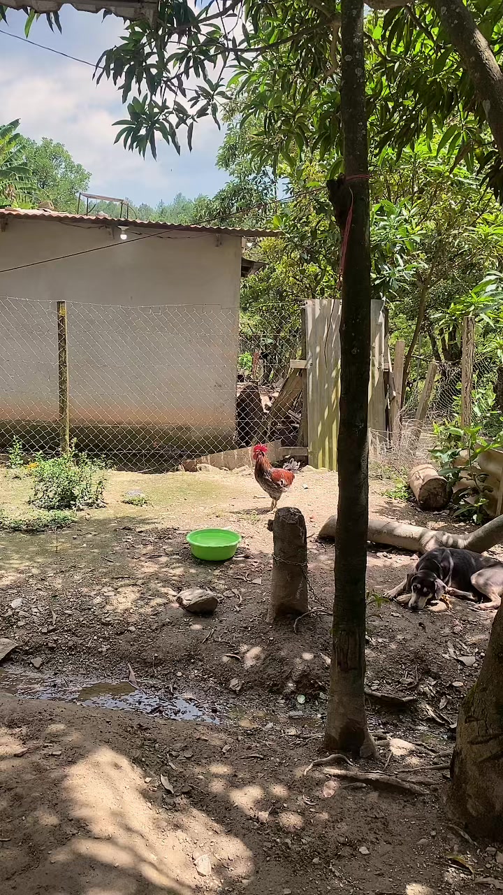 @CARMEN MARTINEZ