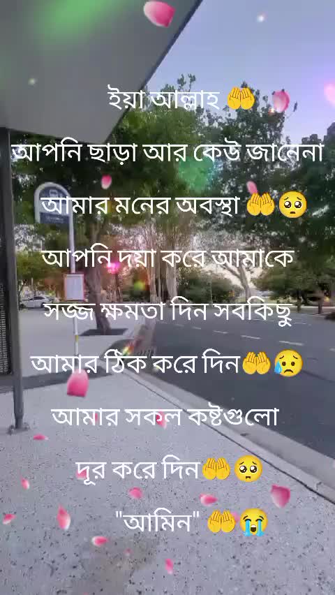 @Rowson Ara