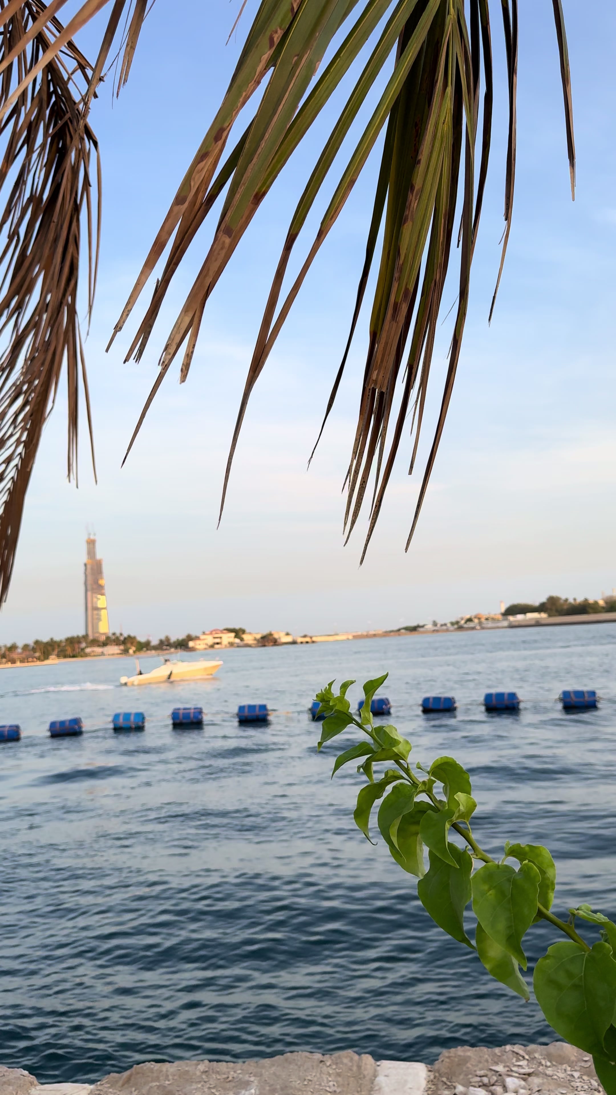 @دلال