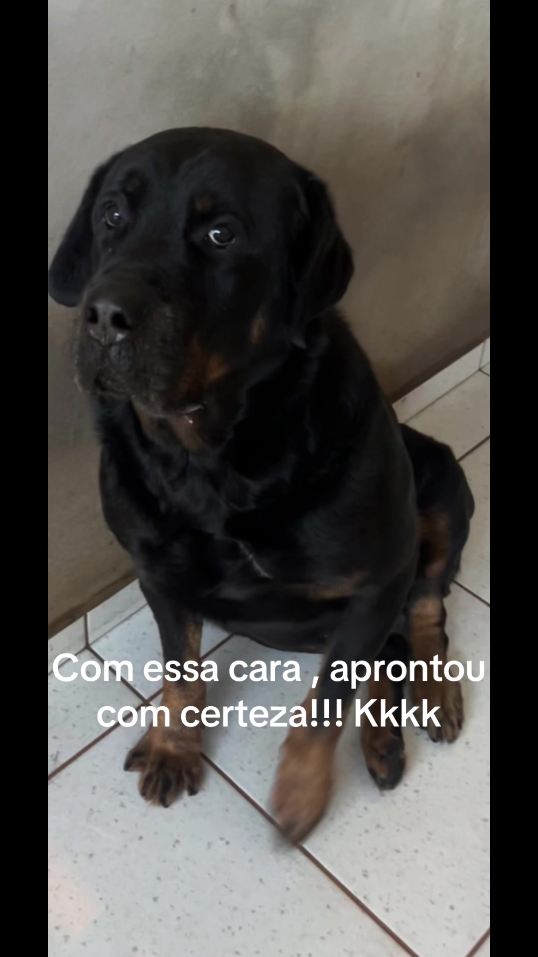 @Luci