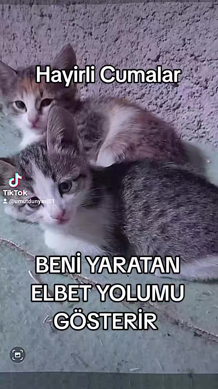 @ümüt dünyası