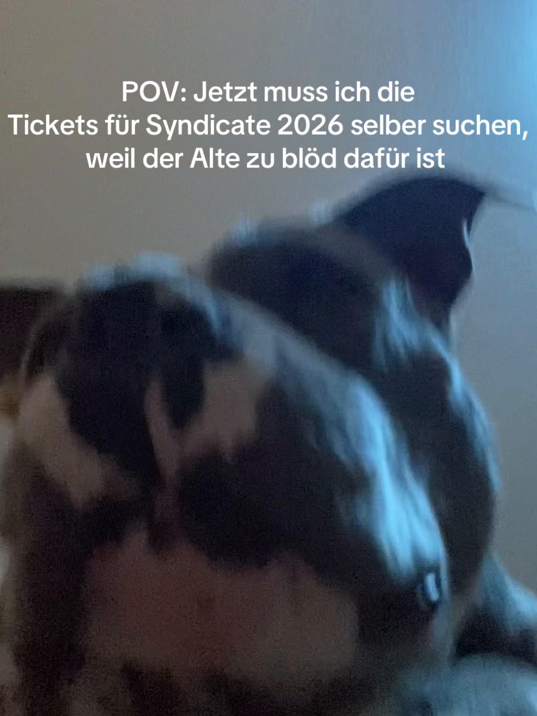 @MeinHundIstKeinVerbrecher