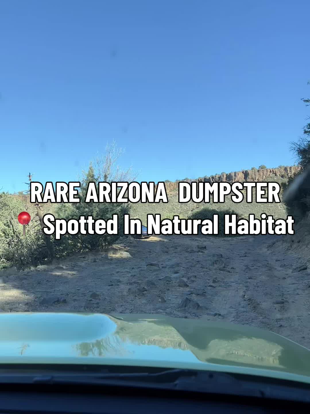 @DanamalTheAnimal