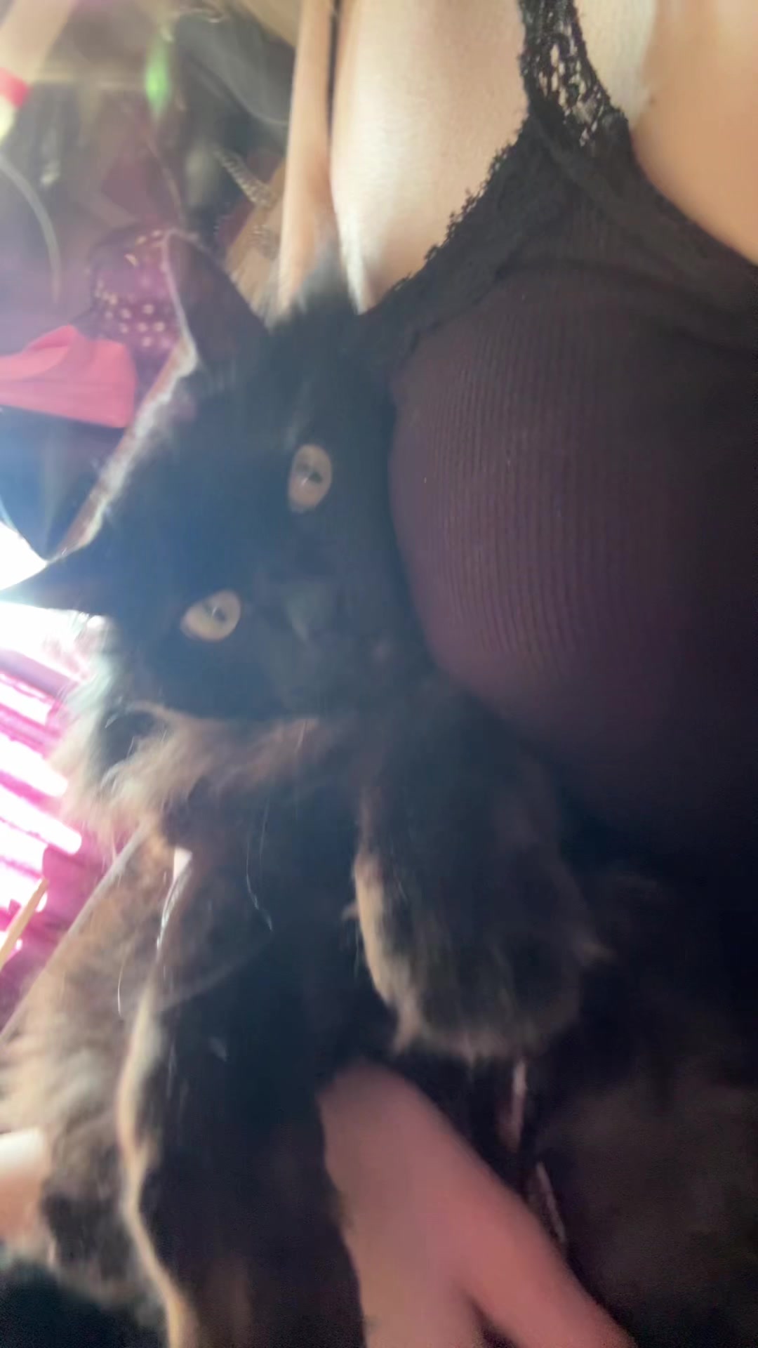 @реинкарнация