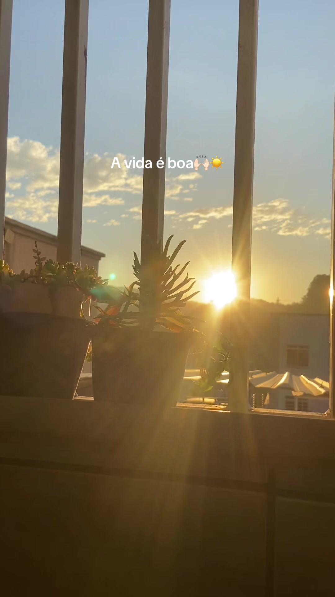 @Café da Jú☕🌺🤗🏡🙏🏻