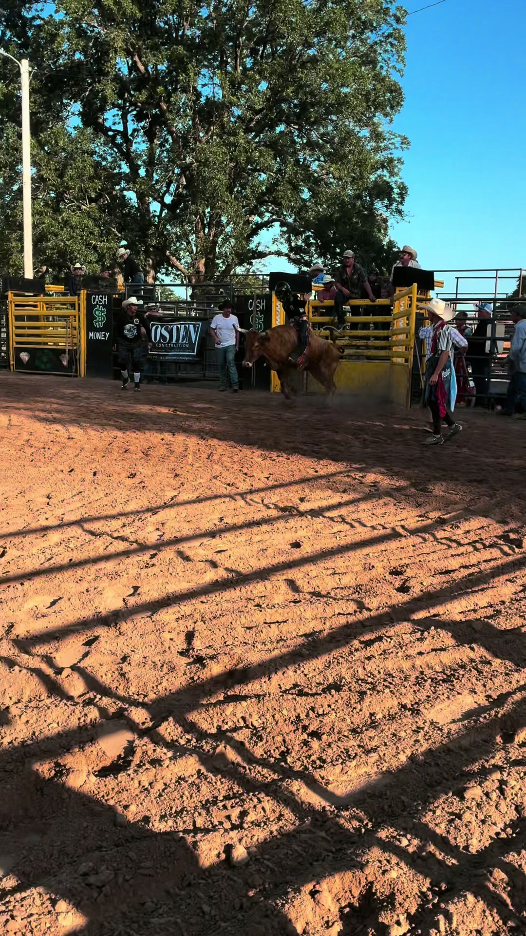 @mamasboyroughstock