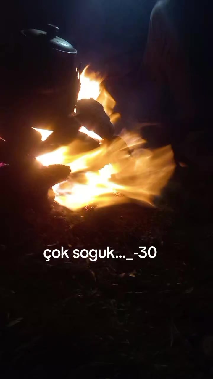 @yılmaz mustafa şen
