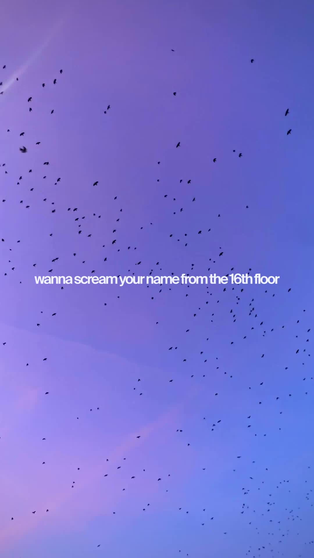 @luna