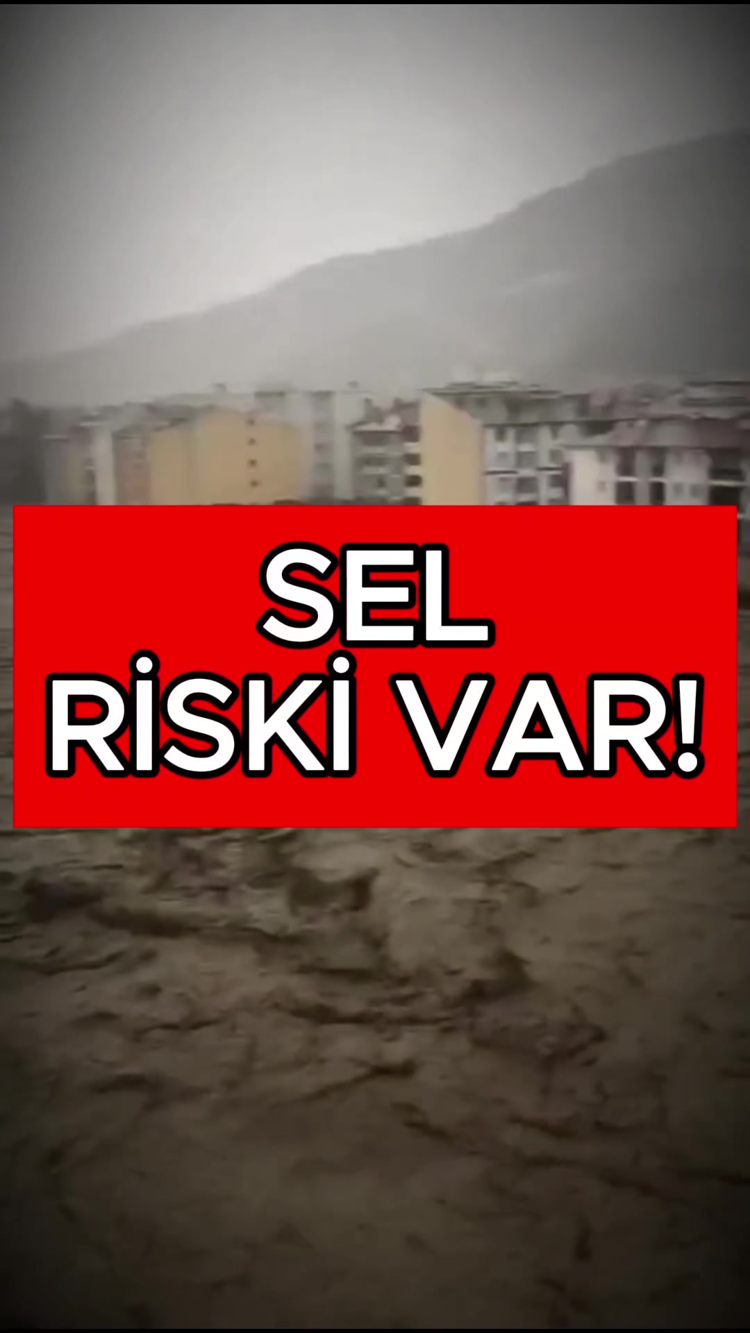 @Havadar