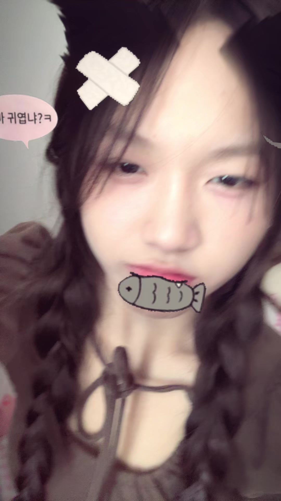 @แมวน้ำบุ๋งๆ