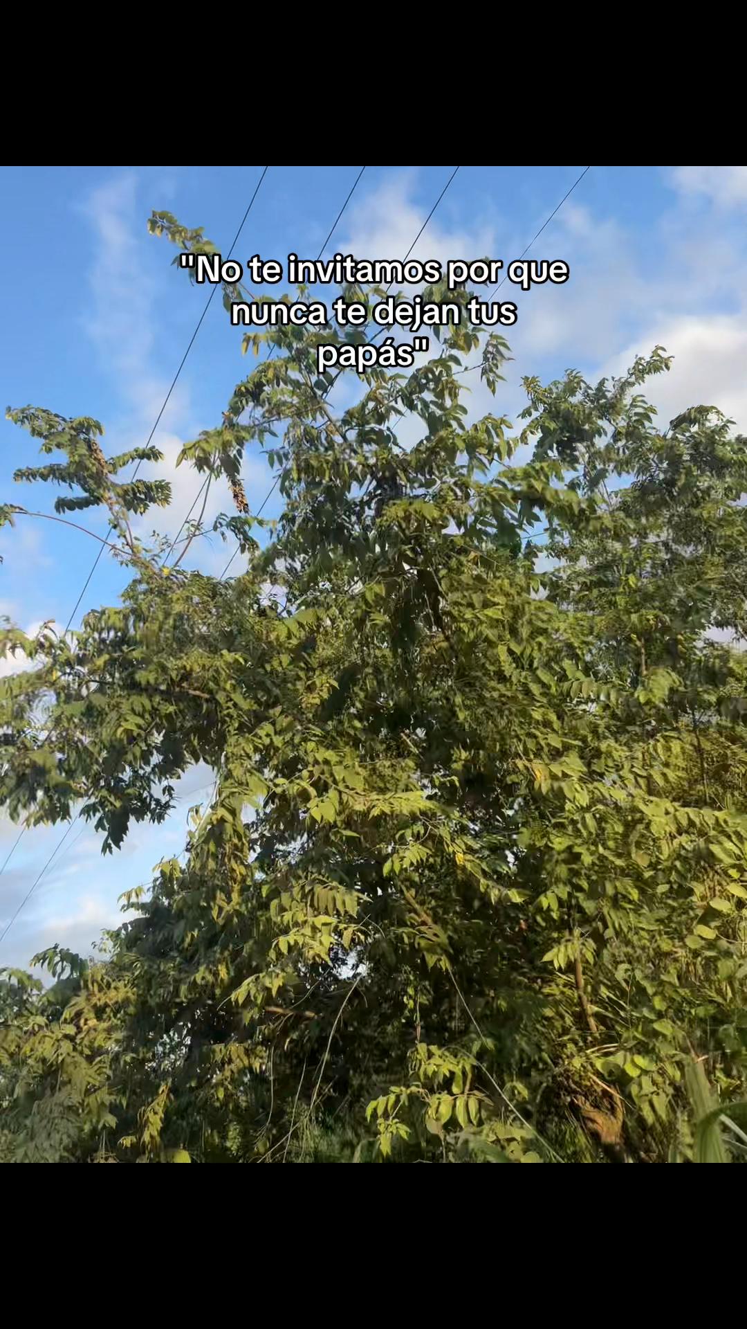 @Margarita 🌼 S2:7
