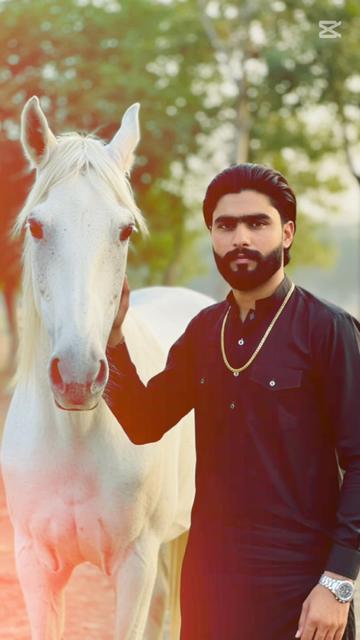 @AFZAAL 🦅BHATTI💪