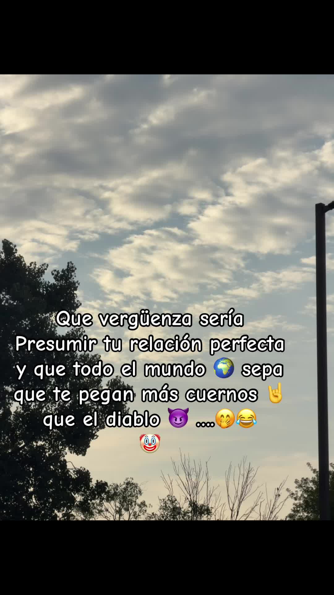 @🌼🌸La Osita 🌸🌼
