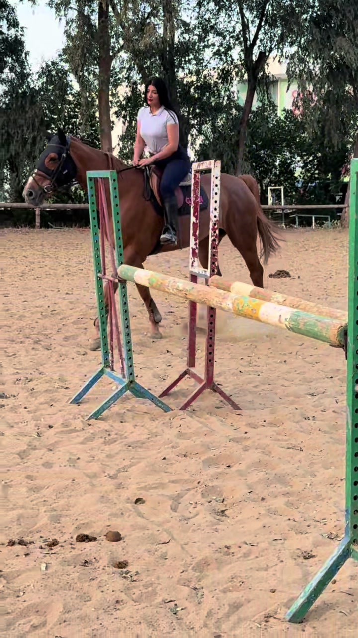 @Zineb Douas 🩷🐎🐎