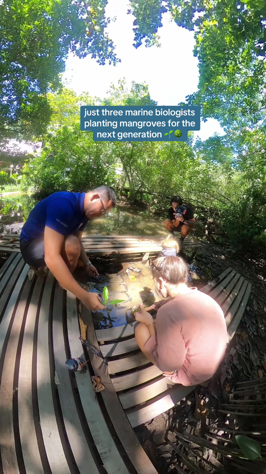@Carissa ๐๐ฉต๐