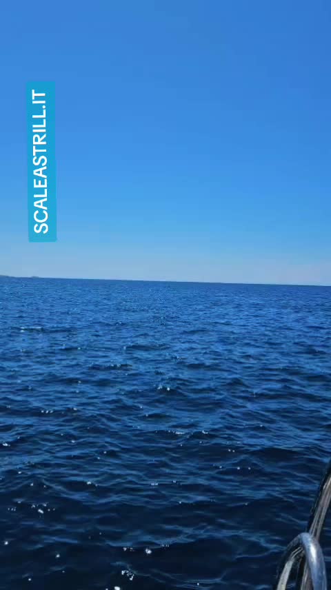 @SCALEA CALABRIA STRILL