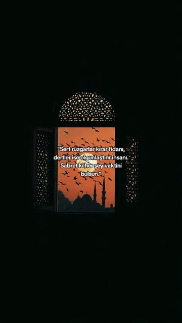 @Verâ