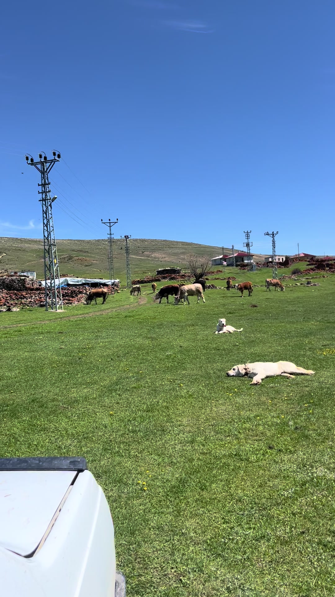 @Talip Cerrahoğlu