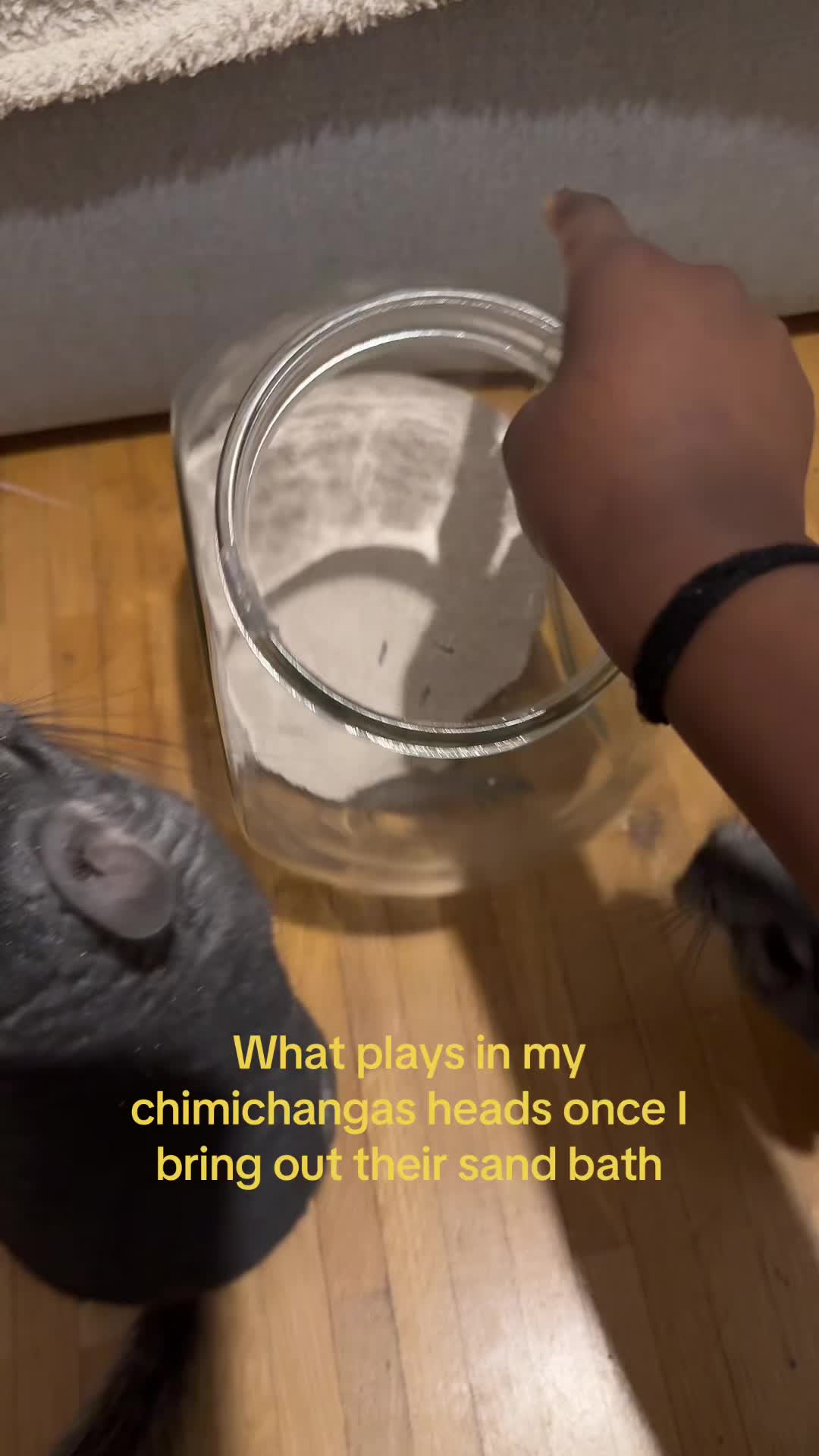 @BANDIT & STRIPE