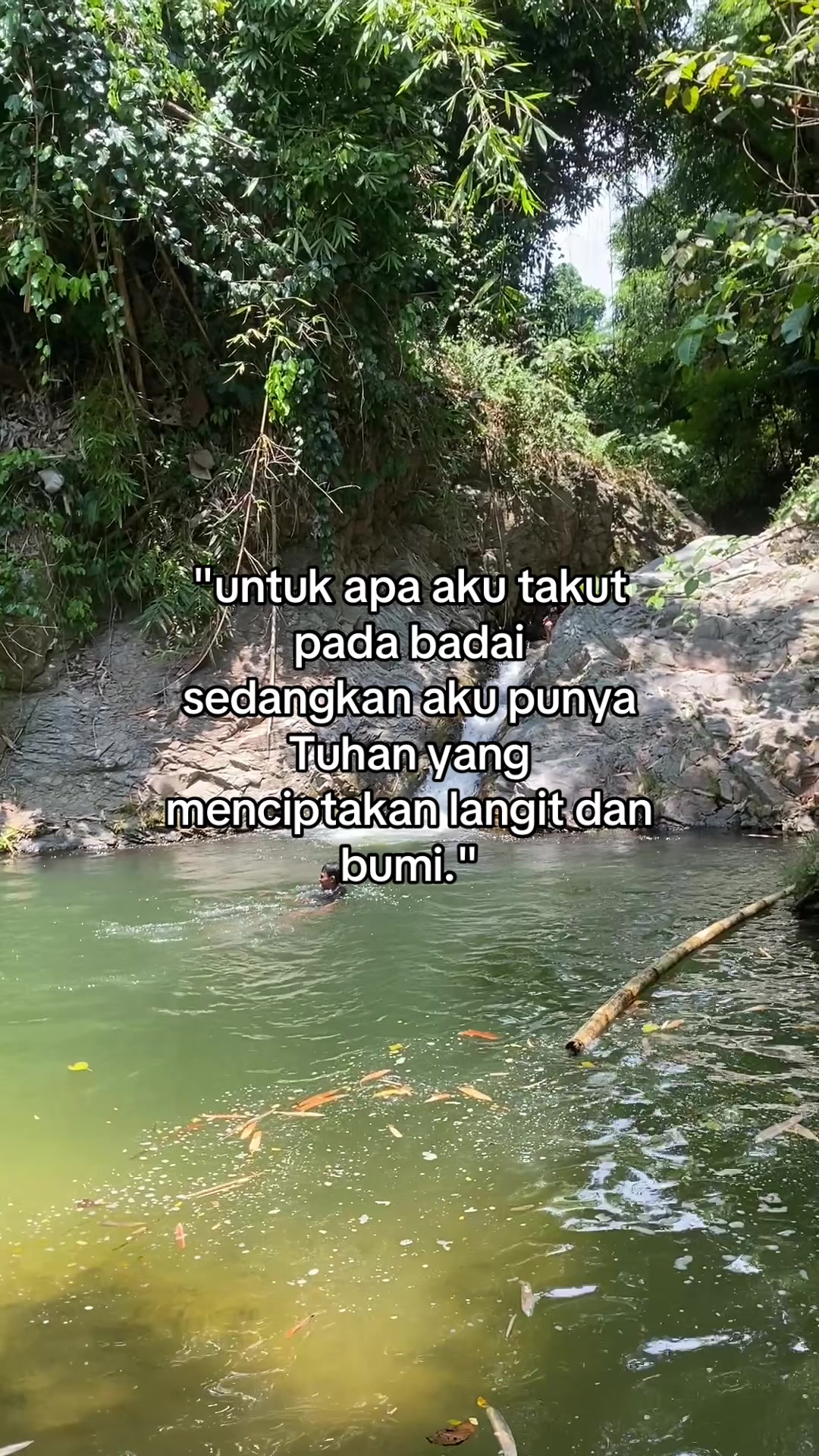 @Pro-tes-tan✝️