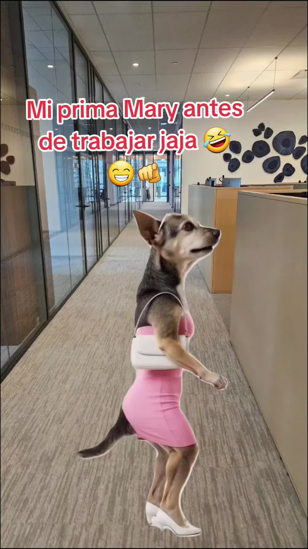 @Gabrielito 502
