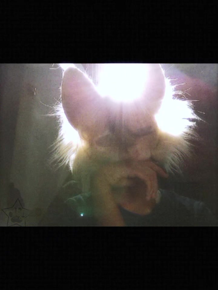 @🐾★~ ☾ 𝐿𝑜𝑛𝑛𝑎 ☽~★🐾