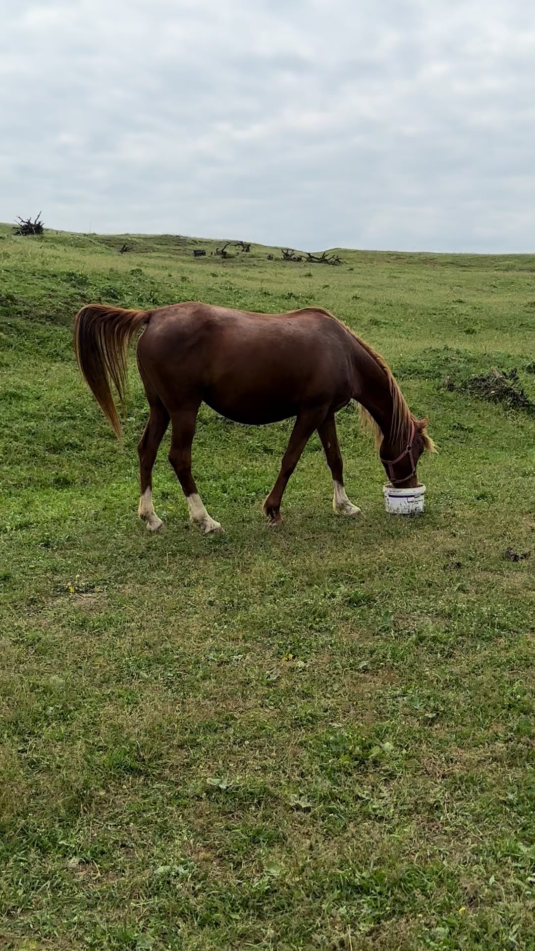 @MakvinStud