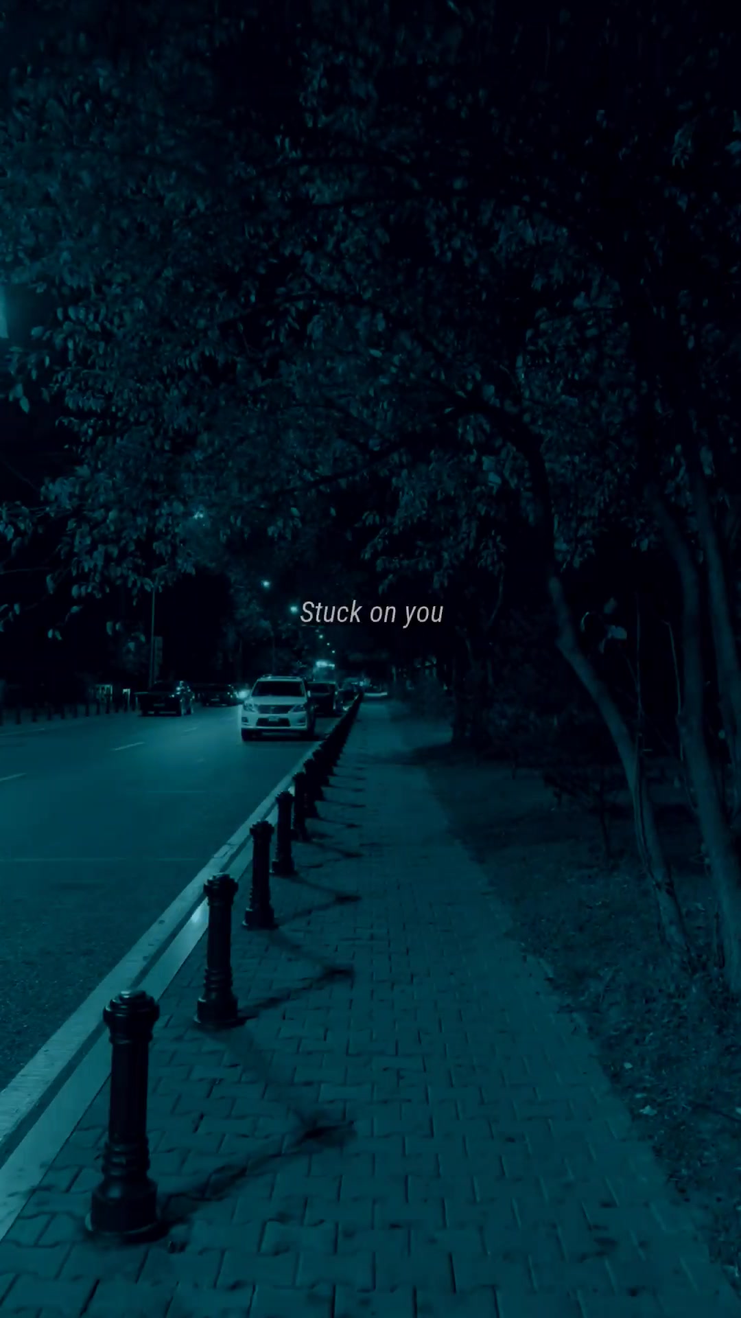 @zeyk.