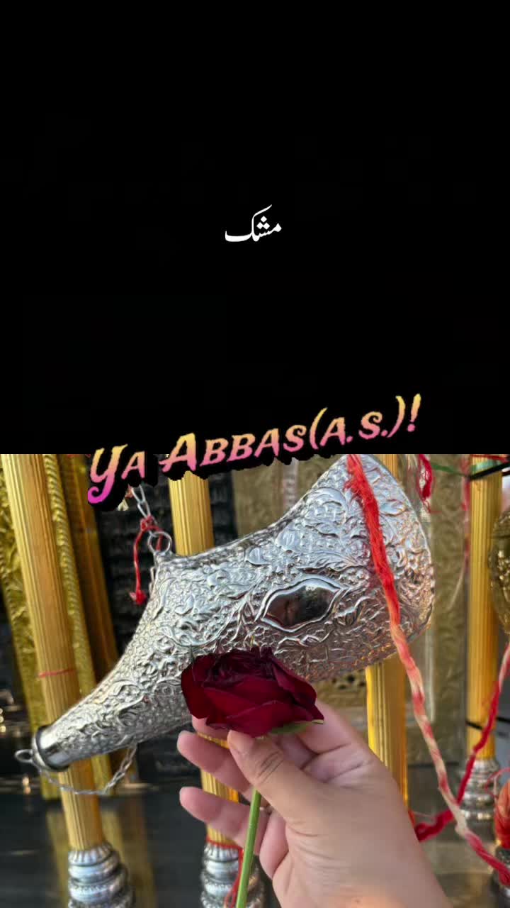 @8️⃣0️⃣4️⃣ Gulabo Habibi 🌹🌹🌹