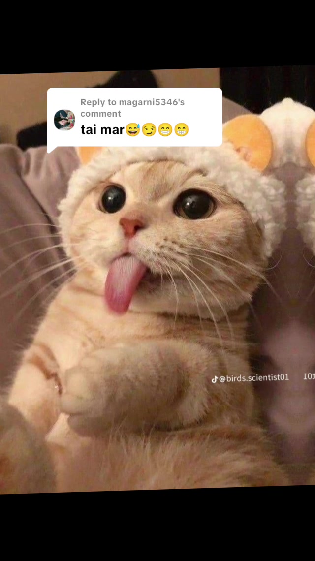 @Loyel...💗... girls..🤩..