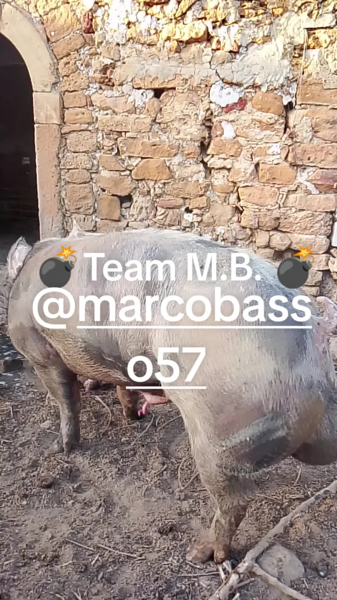 @Stefano Zagara