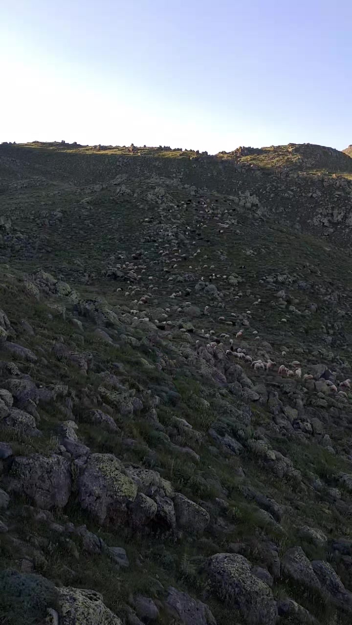 @𝐒𝐨𝐧𝐞𝐫 𝐆𝐮̈𝐝𝐮̈𝐤𝐛𝐨𝐲