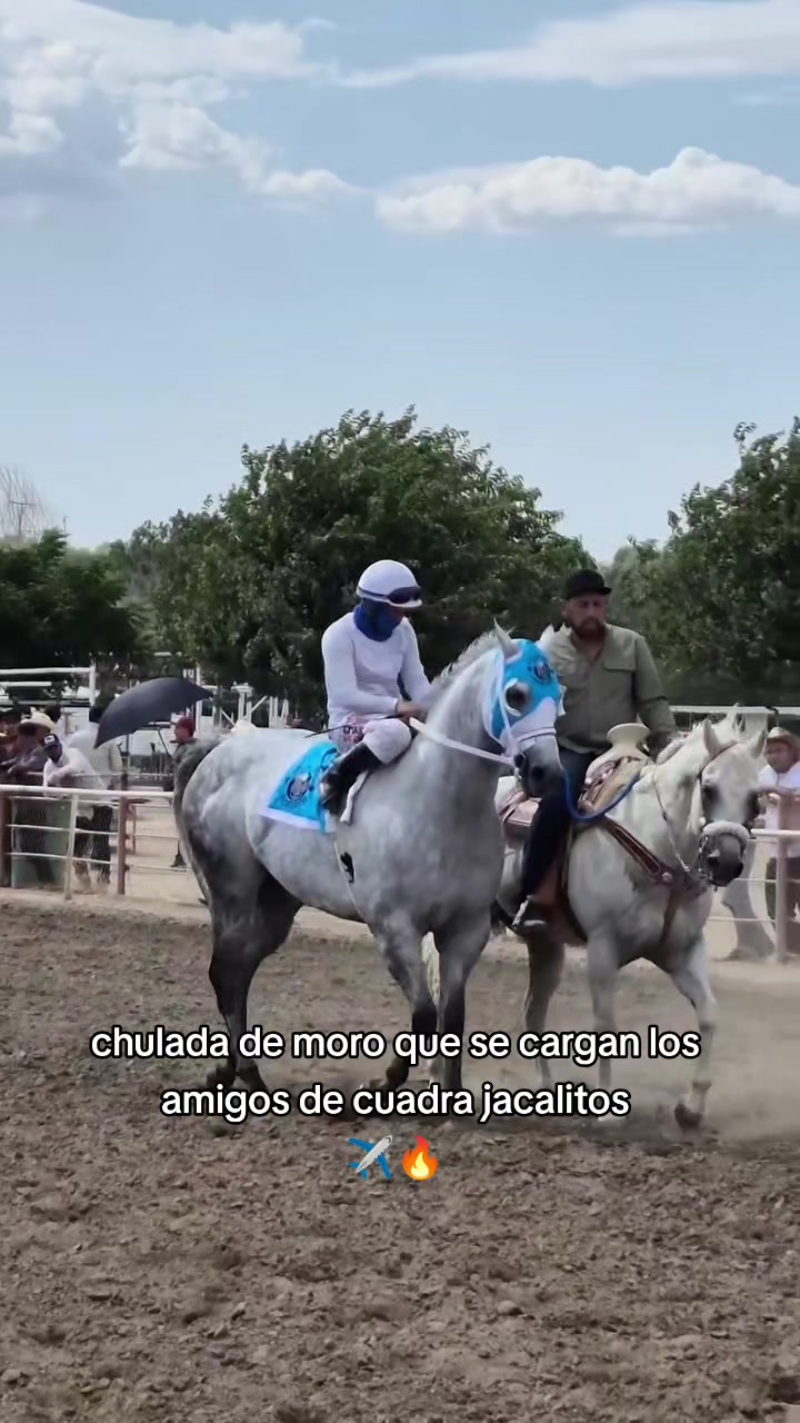@carriles altos de jalisco🐎