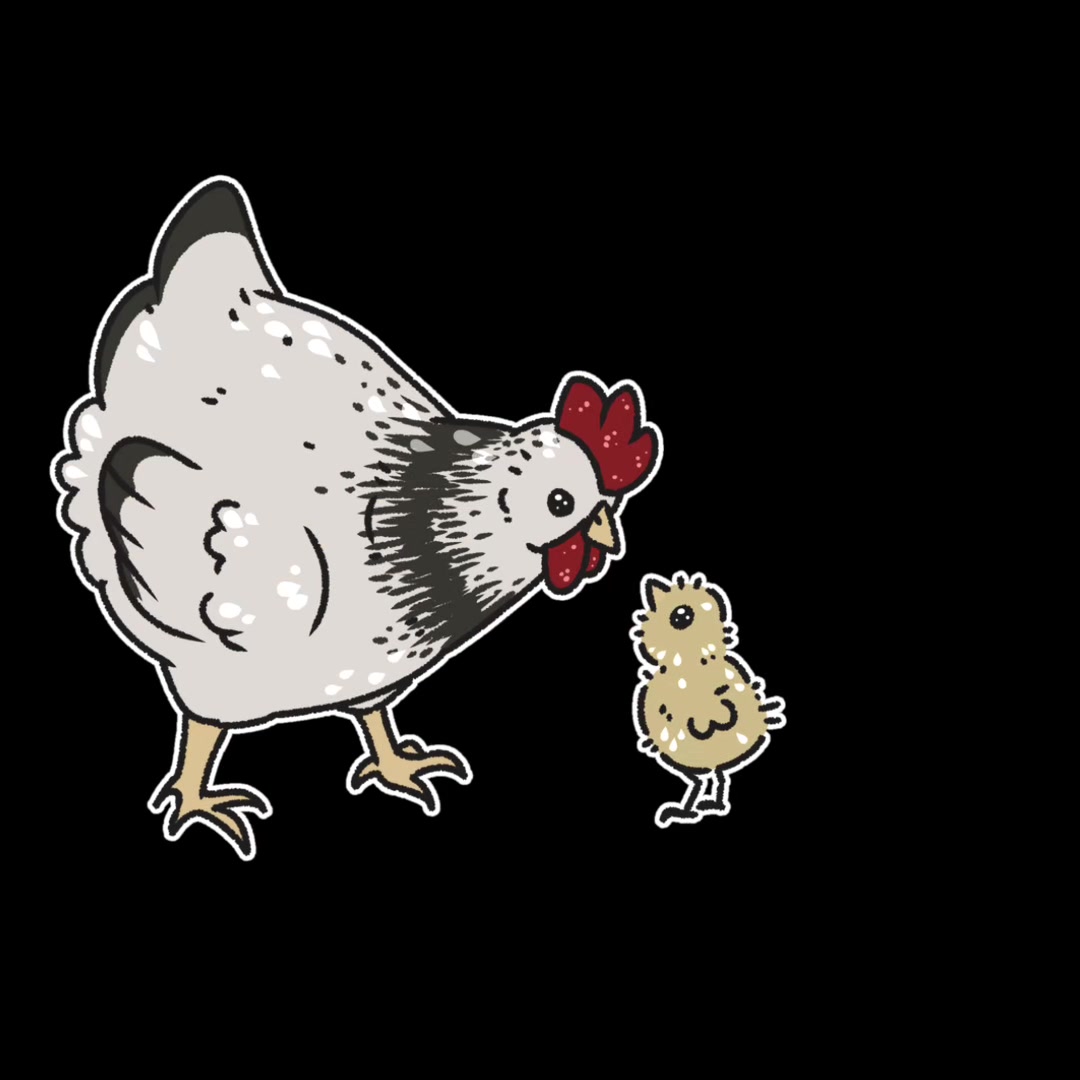 @Timberline Chickens