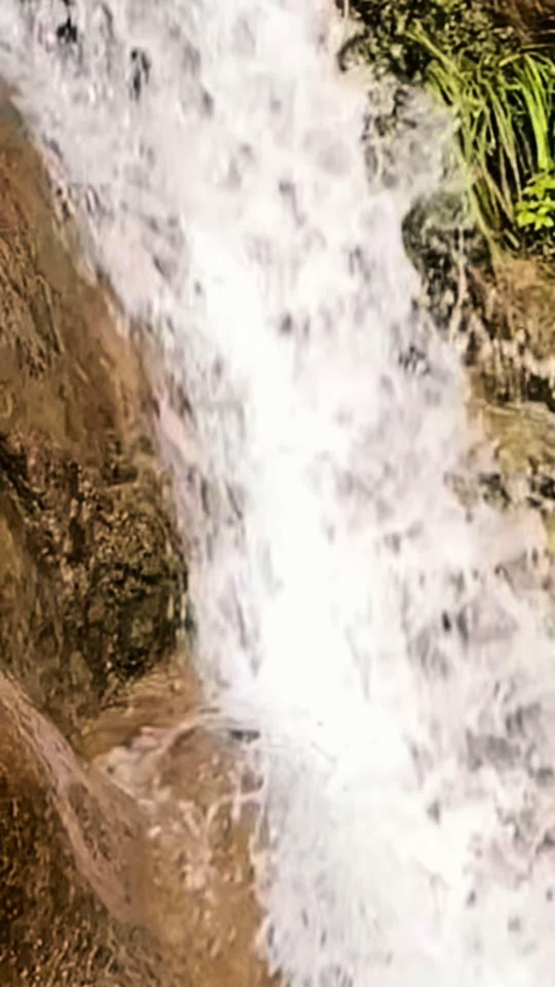@📿ملک جواد آفریدی 🧿