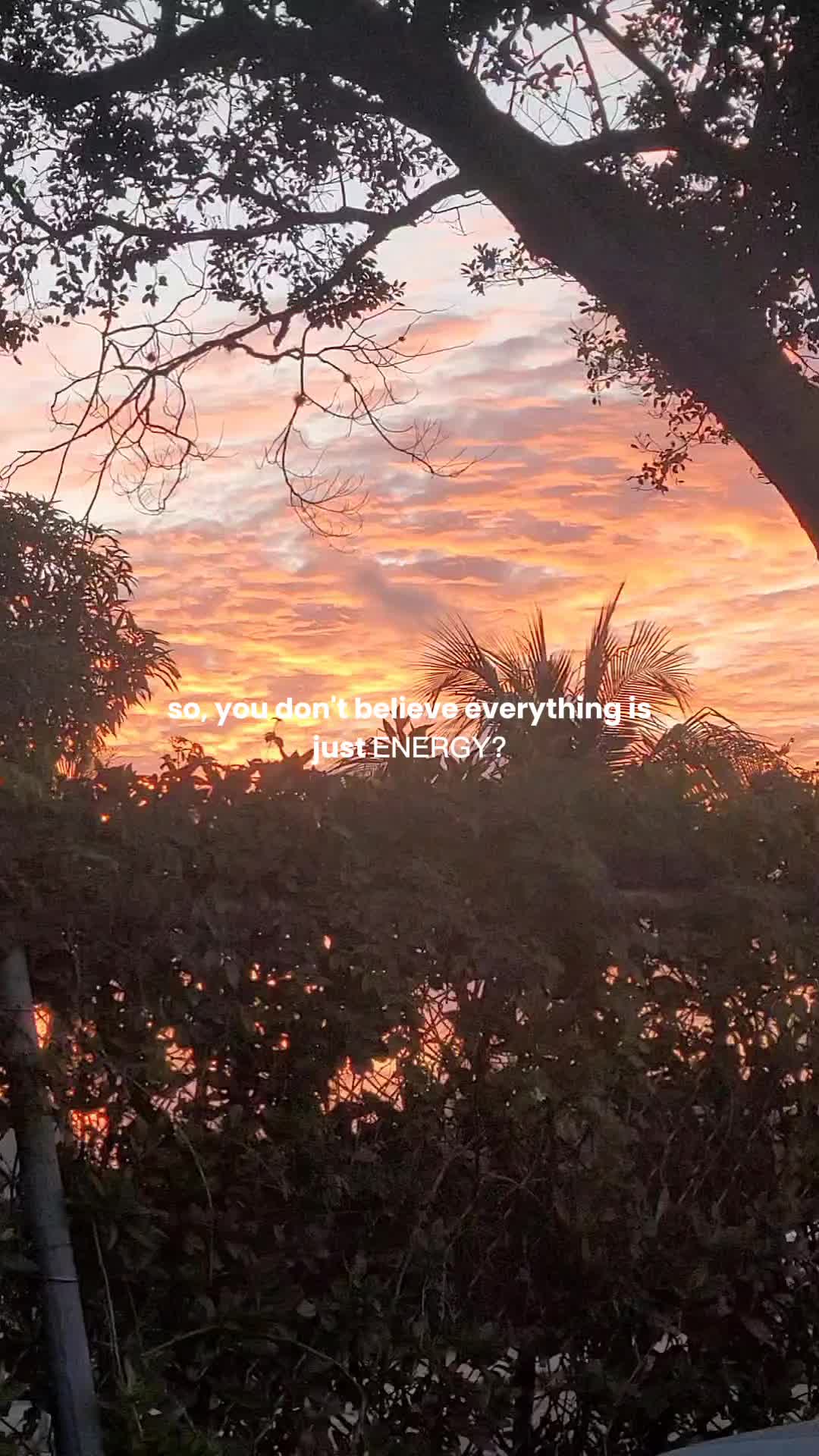 @Honeydoee