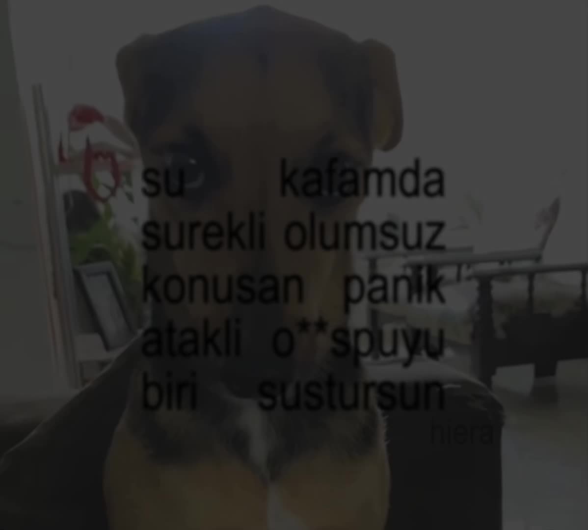 @efela