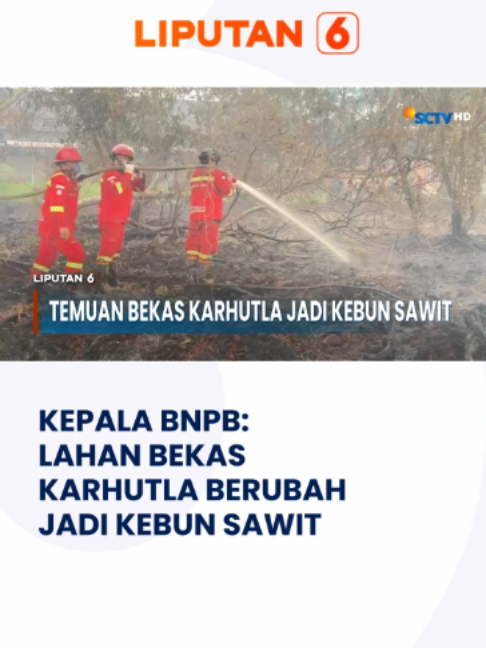 @Liputan6