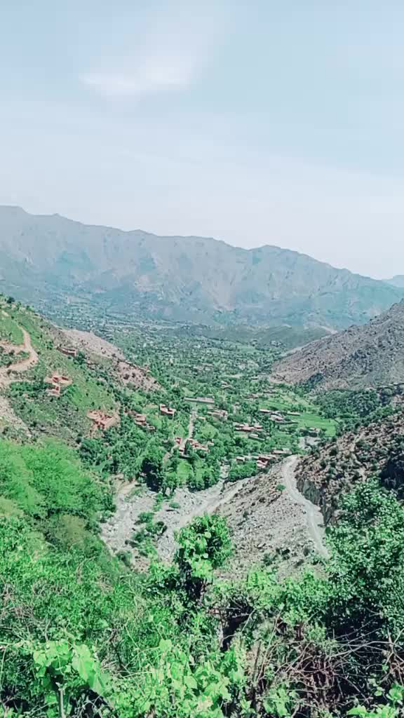 @zarbatkhan