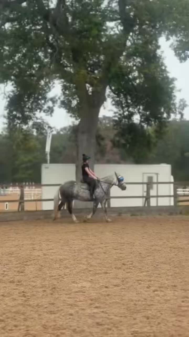 @Soph 🤍🐴