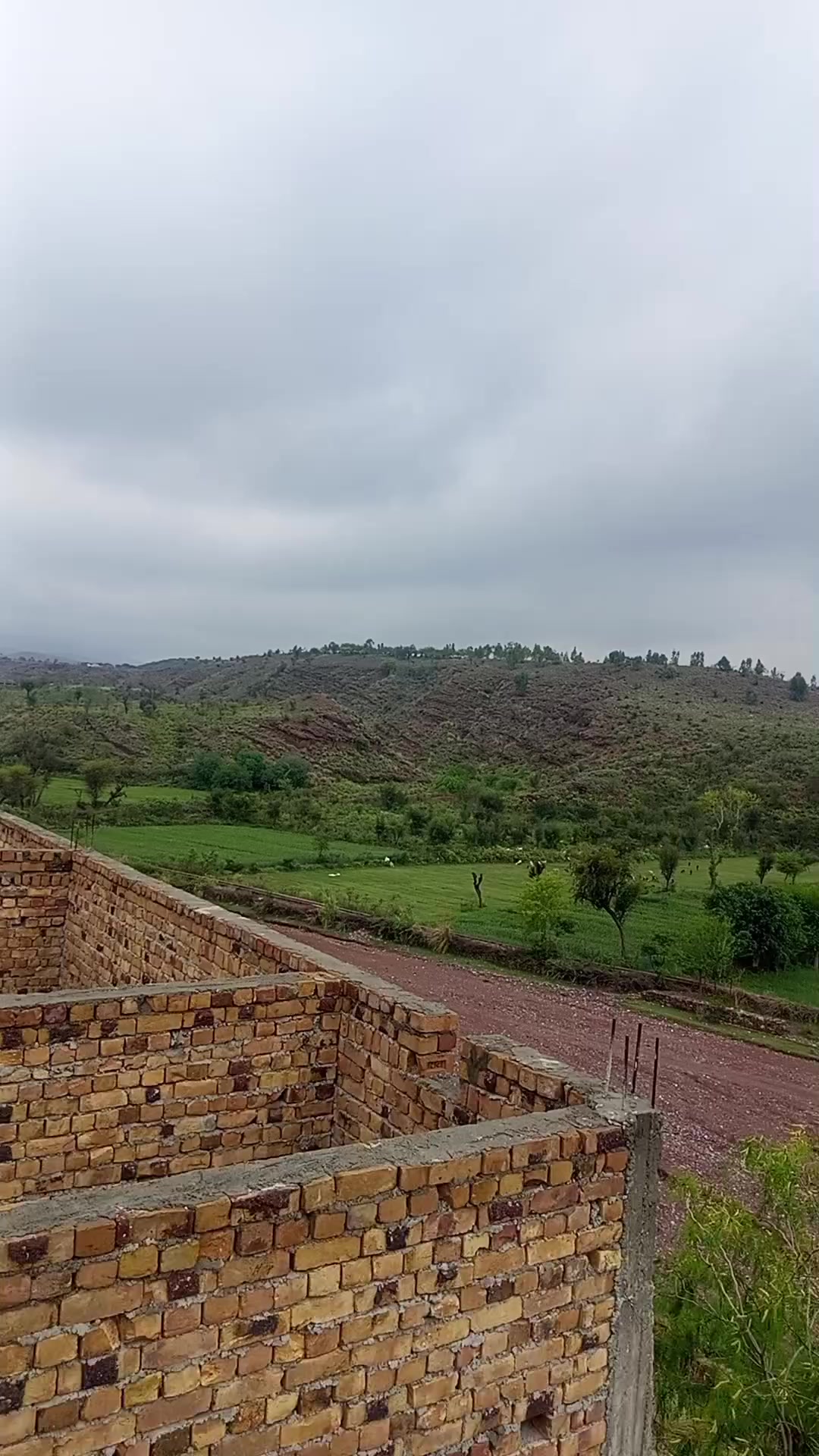 @zubairkhattak006