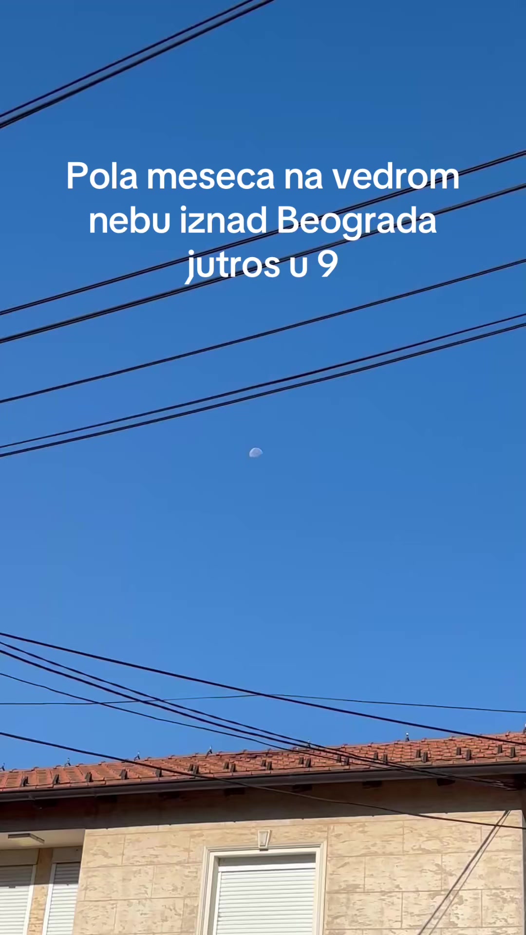 @Esteta