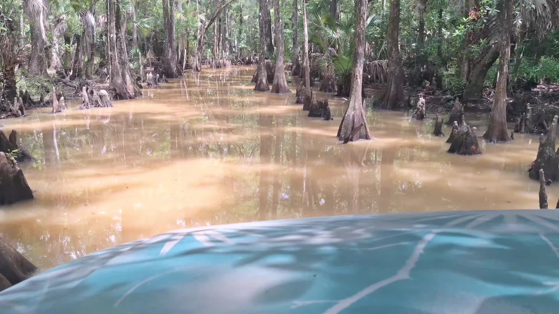 @GatorGirl22