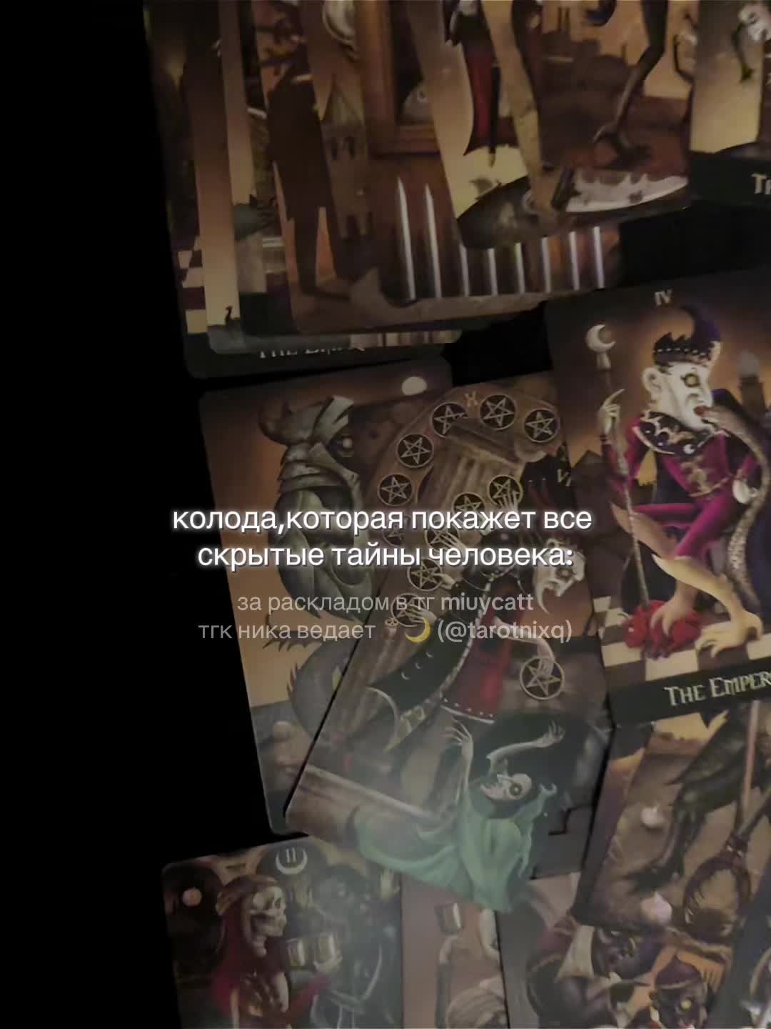 @ника ведает 🕯️