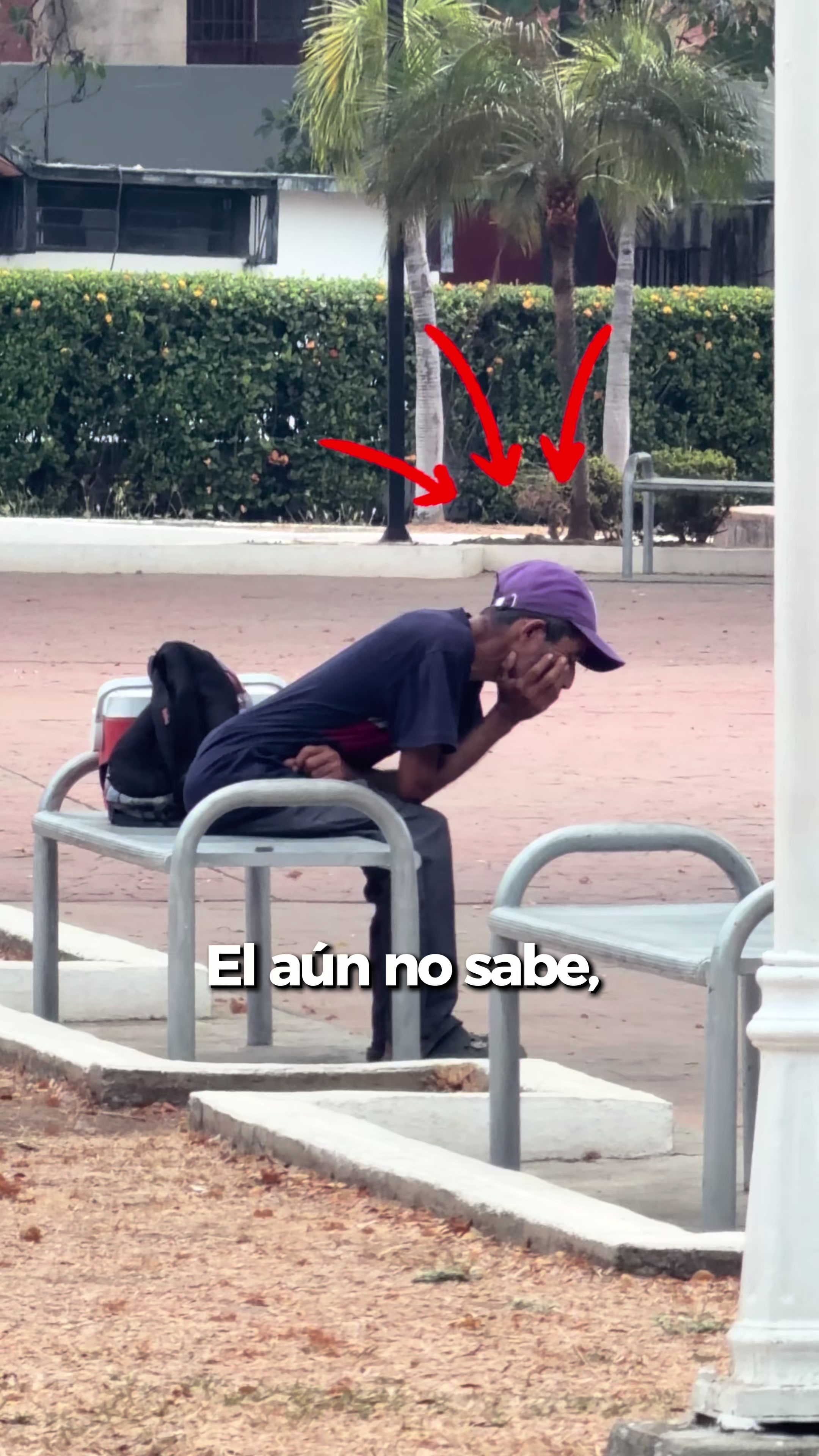 @Jose Zeila