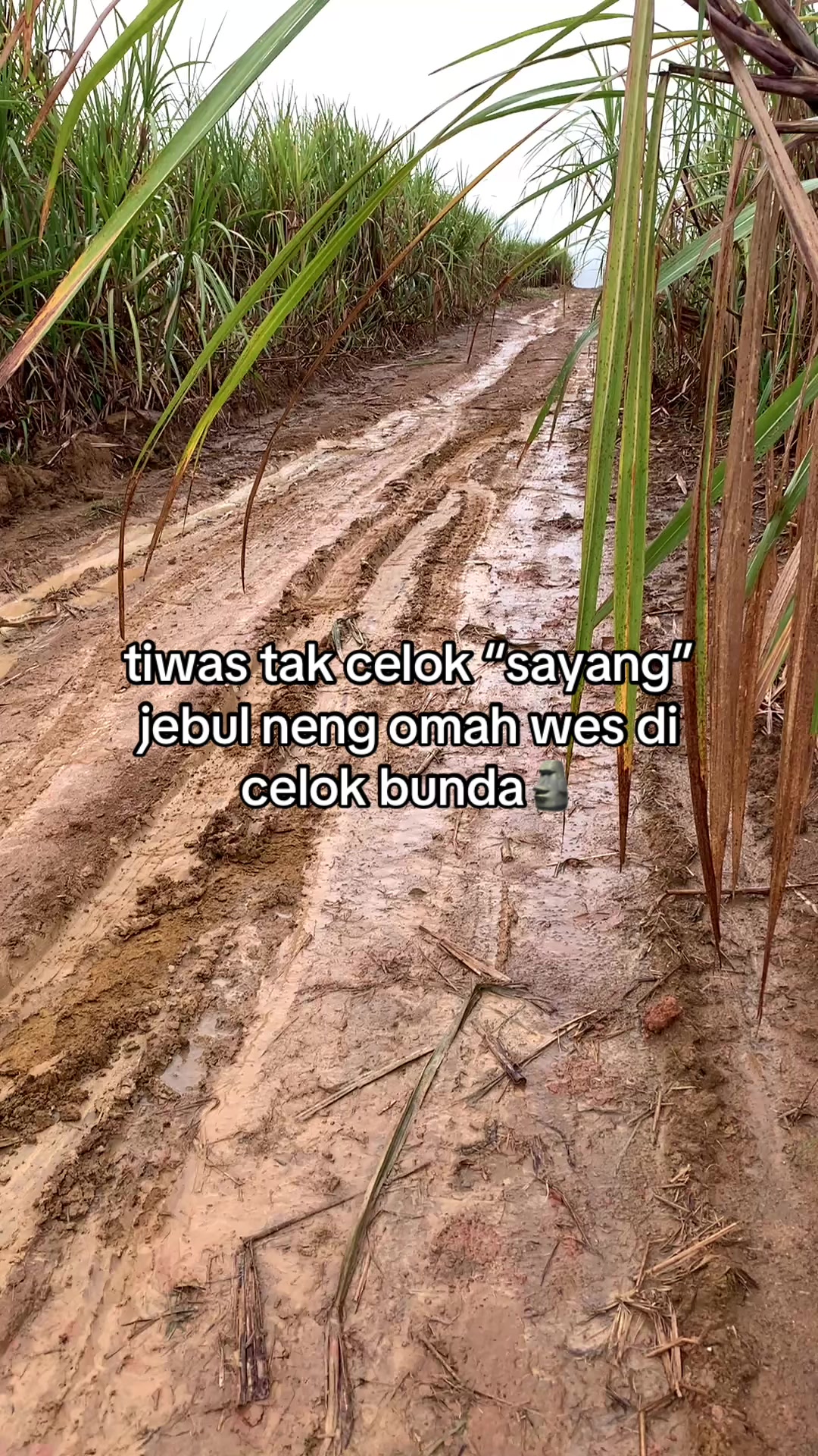 @slundupanmu💃