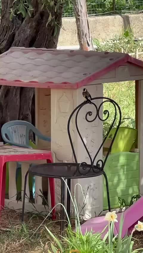 @Marco 80