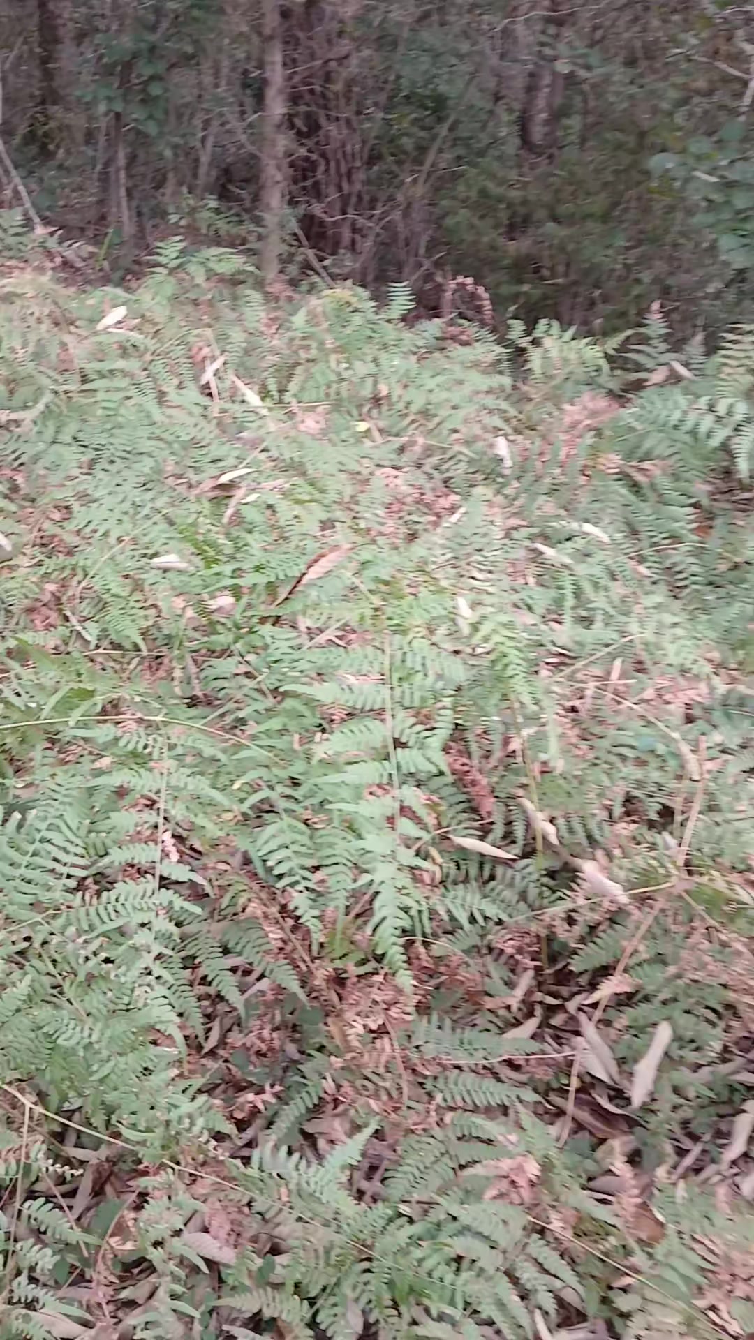 @매동산인