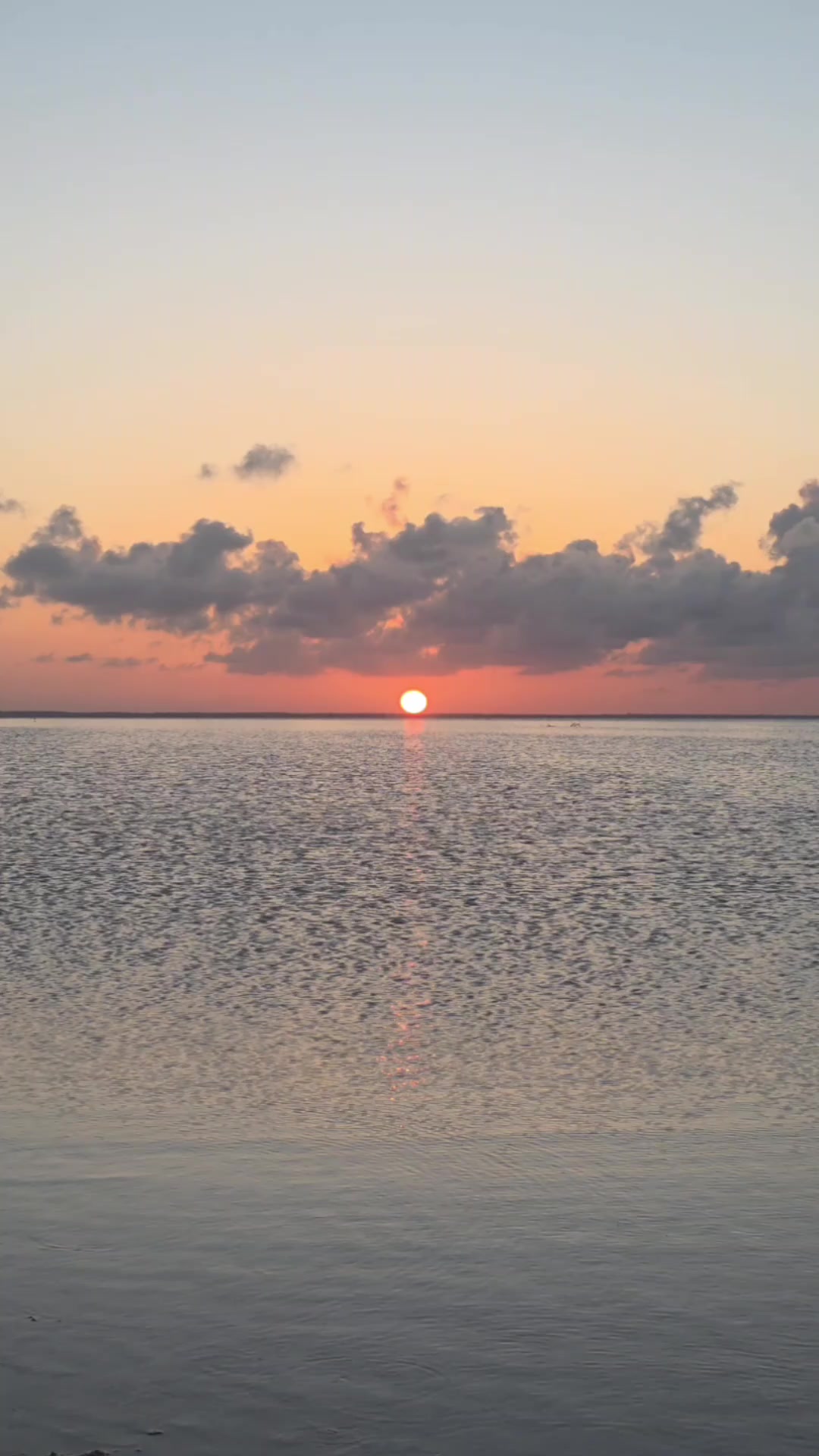 @Jose Chein - Bienes Raices